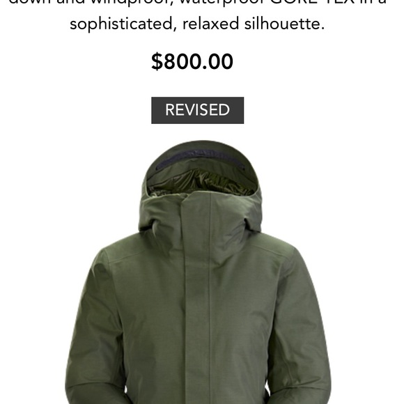 BNWT Large Arc’teryx Patera Parka - Picture 3 of 13